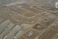 Kemarau 2026 Lebih Kering, BMKG Imbau Waspada (Poto : dok.liputan6.com/Herman Zakharia)