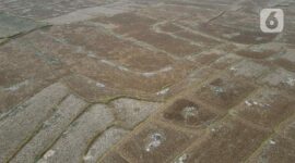 Kemarau 2026 Lebih Kering, BMKG Imbau Waspada (Poto : dok.liputan6.com/Herman Zakharia)