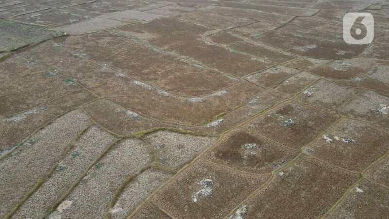 Kemarau 2026 Lebih Kering, BMKG Imbau Waspada (Poto : dok.liputan6.com/Herman Zakharia)