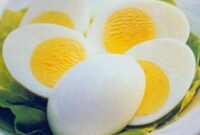 Manfaat telur untuk lansia membantu menjaga otot, jantung, otak, pencernaan, dan tulang dengan nutrisi lengkap dan mudah diserap tubuh. ( Poto : Bola.com )