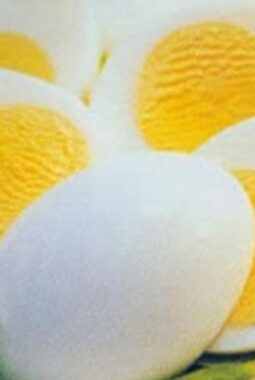 Manfaat Telur untuk Lansia: Menjaga Otot, Jantung, dan Fungsi Otak