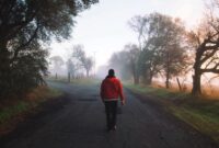 Jalan kaki jam 6 pagi memberikan banyak manfaat bagi kesehatan tubuh dan mental, mulai dari meningkatkan energi hingga memperbaiki kualitas tidur secara alami. ( Poto : Bola.com )