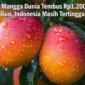 Permintaan mangga meningkat seiring perubahan pola konsumsi masyarakat dunia yang semakin menyukai buah tropis. ( Poto : dok.CNBC Indonesia)