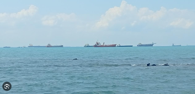 Selat Malaka menjadi jalur perdagangan dan energi dunia yang vital dengan arus kapal tinggi, risiko keamanan, serta peran penting bagi ekonomi global. ( Poto : Liputan6.com )