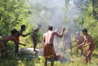 Sebanyak 15 masyarakat adat Orang Rimba dilibatkan dalam pencegahan Karhutla di Jambi melalui pelatihan dan simulasi penanganan kebakaran.( Poto : ANTARA).