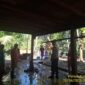 banjir Sungai Batang Tembesi merendam Pamenang Selatan, Merangin, Jambi, merusak rumah, fasilitas umum, dan lahan warga akibat hujan deras.( Poto : JAMBIEKSPRES.CO.ID ).