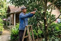 Petani langsung memangkas cabang yang kering, sakit, atau tumbuh tidak teratur ( Poto : Liputan6.com )