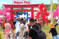 Jambi Park di Muaro Jambi hadir sebagai destinasi wisata edukasi keluarga dengan konsep belajar sambil bermain. ( Poto : rri ).