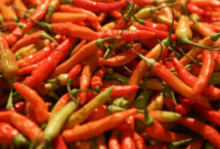 PIHPS Nasional mencatat harga pangan terbaru di tingkat eceran. Cabai rawit merah mencapai Rp67.650/kg, telur ayam ras Rp31.000/kg.( Poto : Istimewa ).