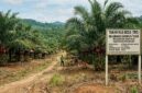 Warga mendesak Inspektorat Kabupaten Merangin mengaudit pihak pembeli Tanah Kas Desa (TKD) ( Poto : jambiprima.com ).