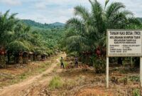 Warga mendesak Inspektorat Kabupaten Merangin mengaudit pihak pembeli Tanah Kas Desa (TKD) ( Poto : jambiprima.com ).
