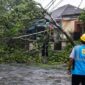 PLN ULP Rimbo Bujang mengimbau warga Kabupaten Tebo meningkatkan kewaspadaan terhadap bahaya listrik akibat cuaca ekstrem, hujan deras, dan angin kencang.( JAMBIPRIMA.COM ).