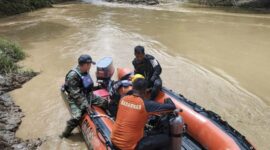 Tim SAR gabungan melakukan pencarian Yahya (57) yang diduga hilang di Sungai Batang Mesumai. ( Poto : Akses Jambi ).