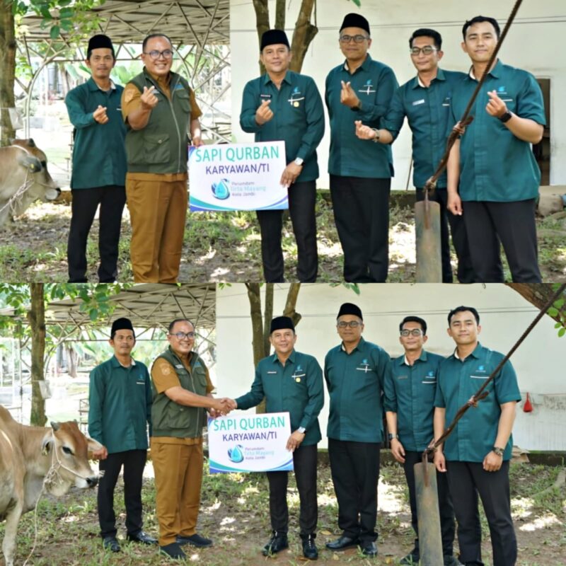 Karyawan/Karyawati Perumda Tirta Mayang Qurban 22 ekor sapi di Kota Jambi ( Poto : jambiekspres.co.id ).