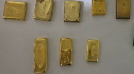 Polres Bungo gagalkan pengiriman 8 emas ilegal seberat 2,3 kg.( Poto : jambiekspres.co.id ).