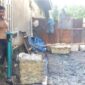 Harga karet Bungo stabil di kisaran Rp18 ribu–Rp18.500 per kg, mendorong petani kembali aktif dan meningkatkan aktivitas ekonomi desa.( Poto : JAMBIPRIMA.COM ).