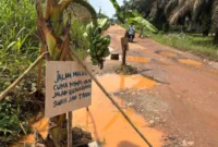 Warga protes jalan rusak dengan menanam pohon pisang di tengah jalan( Poto : ANTARA )