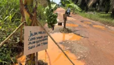 Warga protes jalan rusak dengan menanam pohon pisang di tengah jalan( Poto : ANTARA )