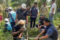 Tim Polri dan PLN terus bekerja untuk memastikan penyebab gangguan dan mencegah blackout Sumatera ( Poto : jambiekspres.co.id )