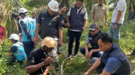 Tim Polri dan PLN terus bekerja untuk memastikan penyebab gangguan dan mencegah blackout Sumatera ( Poto : jambiekspres.co.id )