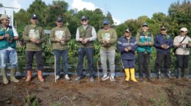 Bupati Kerinci Monadi saat menghadiri panen Kopi Robusta.( Poto : istimewa ).