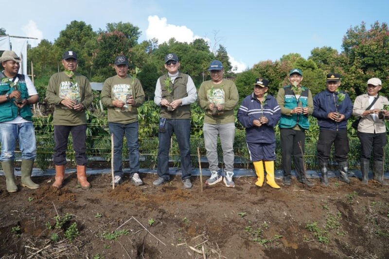 Kepala Dinas Kominfo Provinsi Jambi, Ariansyah dan Bupati Kerinci Monadi ikut menghadiri panen Kopi Robusta.( Poto : istimewa ).
