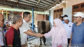 Ketua Kadin Tanjabtim, Apif Firmansyah, hadir langsung di lokasi pembagian kurban.( Poto : ANTARA ).