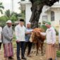 Kanwil BPN Provinsi Jambi mengantar hewan kurban BPN Jambi ke Pondok Pesantren Sa’adatuddaren Tahtul Yaman.( Poto : jambiekspres.co.id ).