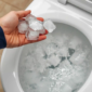 Tren membersihkan toilet dengan es batu kembali viral di media sosial. Simak cara kerja, manfaat, serta risiko metode sederhana ini untuk kloset rumah.( Poto : KOMPAS.com ).