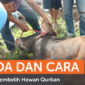 Pelajari tata cara menyembelih hewan kurban sesuai syariat Islam lengkap dengan bacaan doa yang benar.( Poto : Rumah Zakat ).