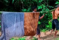 Penemuan mayat Sungai Batang Tebo menggegerkan warga Desa Empelu, Kecamatan Tanah Sepenggal, Kabupaten Bungo, Sabtu (23/5/2026).( Poto : jambiprima.com)