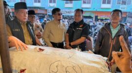 Wakil Gubernur Jambi Abdullah Sani sidah harga di Pasar Angso duo jelang idhul adha( Poto : jambiprima.com).