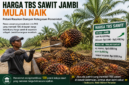 Pemerintah mengancam 123 PKS yang masih membeli TBS sawit di bawah harga acuan ( Poto :chatGPT )