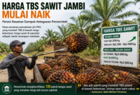 Pemerintah mengancam 123 PKS yang masih membeli TBS sawit di bawah harga acuan ( Poto :chatGPT )
