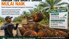Pemerintah mengancam 123 PKS yang masih membeli TBS sawit di bawah harga acuan ( Poto :chatGPT )