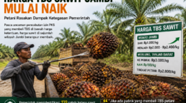 Pemerintah mengancam 123 PKS yang masih membeli TBS sawit di bawah harga acuan ( Poto :chatGPT )
