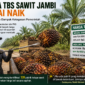 Pemerintah mengancam 123 PKS yang masih membeli TBS sawit di bawah harga acuan ( Poto :chatGPT )