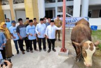 Gubernur Al Haris Serahkan Sapi Kurban Presiden Prabowo ( Poto : jambiekspres.co.id ).