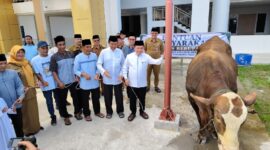 Gubernur Al Haris Serahkan Sapi Kurban Presiden Prabowo ( Poto : jambiekspres.co.id ).