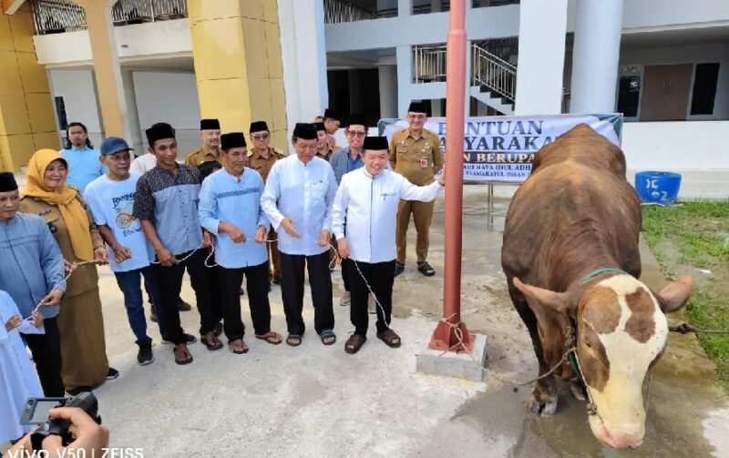Gubernur Al Haris Serahkan Sapi Kurban Presiden Prabowo ( Poto : jambiekspres.co.id ).