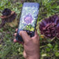 Warga memanfaatkan momen mekarnya bunga bangkai sebagai sarana edukasi sederhana.( Poto : bisnis.com ).
