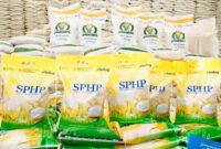 Penyaluran beras SPHP Bulog mencapai 240 ribu ton di seluruh Indonesia untuk menjaga stabilitas harga dan memastikan ketersediaan pangan nasional tetap aman.( Poto : istimewa ).