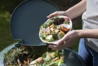Masyarakat Bali menerapkan solusi mandiri pengolahan sampah organik seperti eco enzyme, biopori, dan pakan ternak untuk mengatasi krisis sampah.( Ilustrasi Poto : detikcom ).