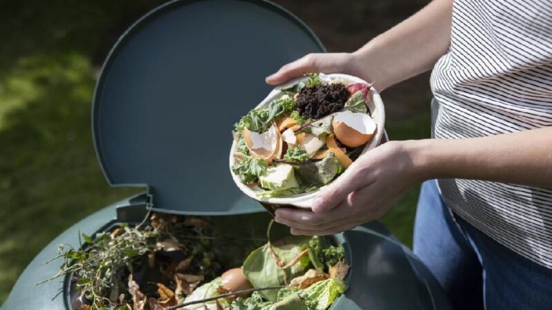 Masyarakat Bali menerapkan solusi mandiri pengolahan sampah organik seperti eco enzyme, biopori, dan pakan ternak untuk mengatasi krisis sampah.( Ilustrasi Poto : detikcom ).