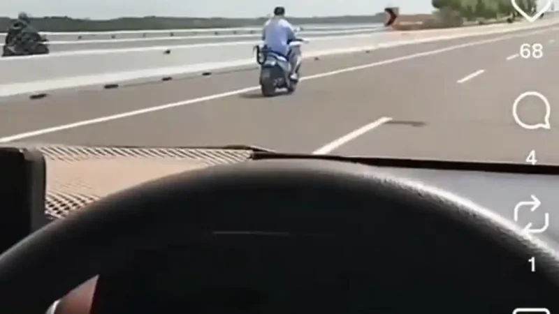 Viral bule masuk jalur mobil di Tol Bali Mandara. Petugas langsung mengevakuasi dan memberikan teguran untuk mencegah kejadian serupa.( Poto : Tribun Bali.com)