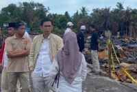 Kebakaran di Pasar Teluk Nilau, Jambi, menghanguskan puluhan rumah dan membuat warga kehilangan tempat tinggal.( Poto : detiksumbagsel ).