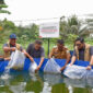 Penebaran benih ikan air tawar di kawasan budidaya binaan Pertamina EP Jambi di Desa Kasang Lopak Alai, Muaro Jambi.( poto : infojambi.com )