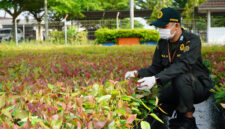Kepala Karantina Jambi, Sudiwan Situmorang, menegaskan timnya memperketat pengawasan lalu lintas tumbuhan.( poto : bicarajambi.com )