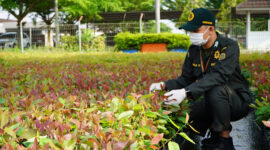 Kepala Karantina Jambi, Sudiwan Situmorang, menegaskan timnya memperketat pengawasan lalu lintas tumbuhan.( poto : bicarajambi.com )