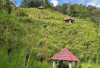 Tampak beberapa saung Bukit Khayangan tempat bersantai sudah di kelilingi semak belukar.( poto : istimewa )